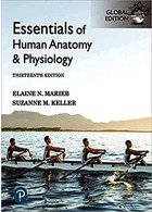 Essentials of Human Anatomy & Physiology [Global Edition] 13th Edición | ملزومات آناتومی و فیزیولوژی انسان
